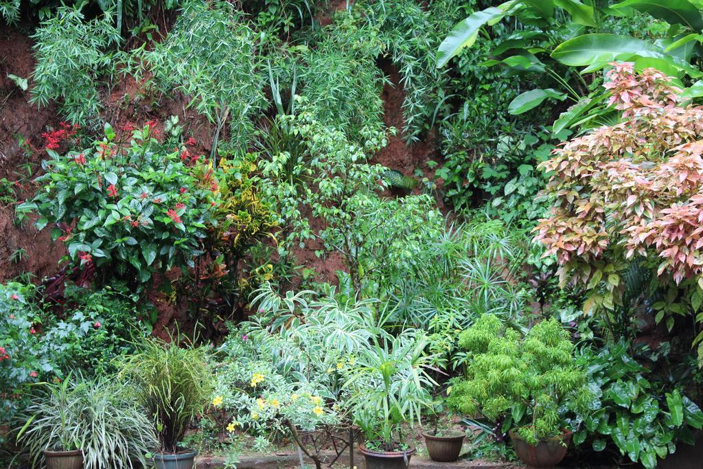 Appartamento Anniewatte House Kandy Esterno foto